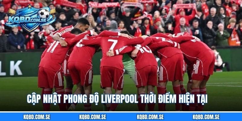 Cập nhật phong độ Liverpool thời điểm hiện tại