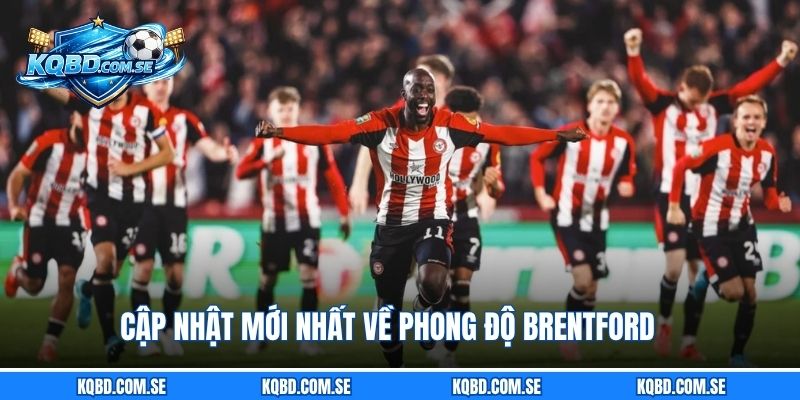 Cập nhật mới nhất về phong độ Brentford